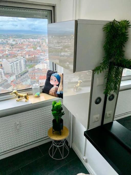 Grand Appartement 2 Chambres 5 Pers Max, Vue Panoramique Avec Parking มูลูส ภายนอก รูปภาพ