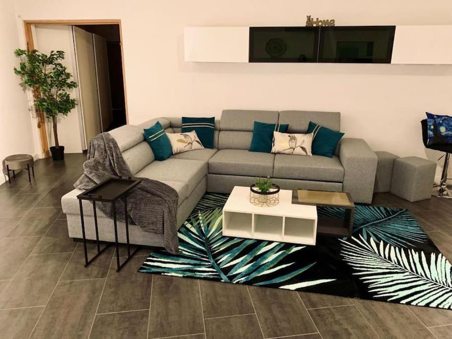 Grand Appartement 2 Chambres 5 Pers Max, Vue Panoramique Avec Parking มูลูส ภายนอก รูปภาพ