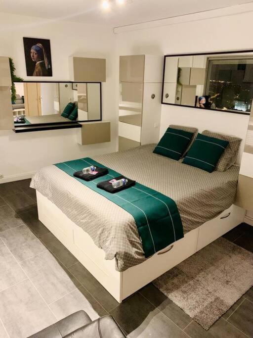 Grand Appartement 2 Chambres 5 Pers Max, Vue Panoramique Avec Parking มูลูส ภายนอก รูปภาพ
