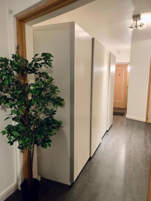 Grand Appartement 2 Chambres 5 Pers Max, Vue Panoramique Avec Parking มูลูส ภายนอก รูปภาพ