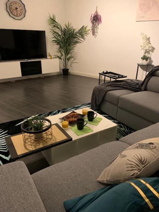 Grand Appartement 2 Chambres 5 Pers Max, Vue Panoramique Avec Parking มูลูส ภายนอก รูปภาพ