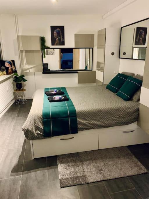 Grand Appartement 2 Chambres 5 Pers Max, Vue Panoramique Avec Parking มูลูส ภายนอก รูปภาพ