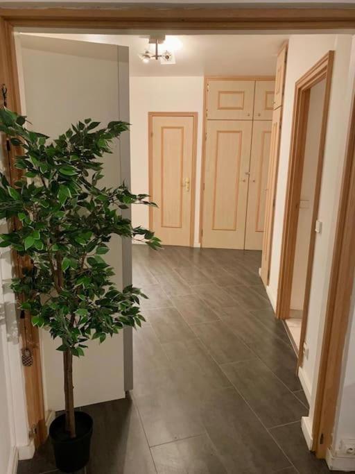 Grand Appartement 2 Chambres 5 Pers Max, Vue Panoramique Avec Parking มูลูส ภายนอก รูปภาพ