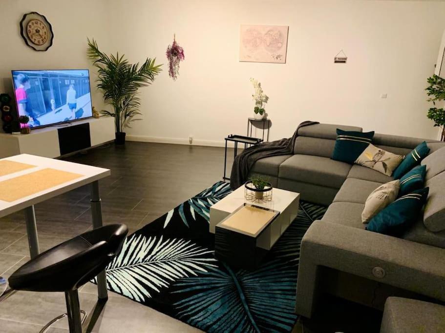 Grand Appartement 2 Chambres 5 Pers Max, Vue Panoramique Avec Parking มูลูส ภายนอก รูปภาพ